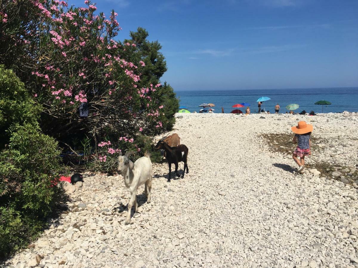 Apartament Casa M&M Cala Gonone Zewnętrze zdjęcie