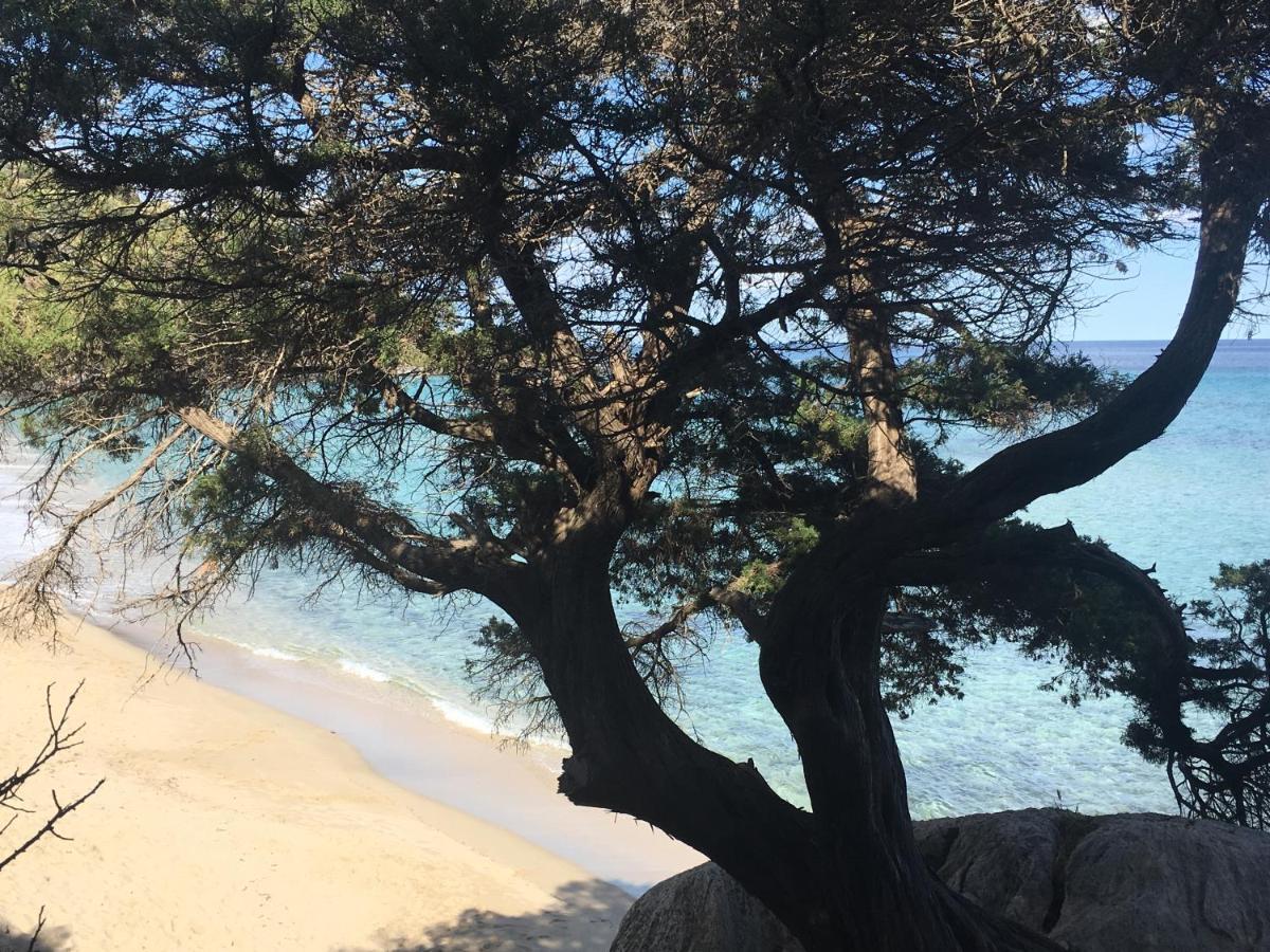 Apartament Casa M&M Cala Gonone Zewnętrze zdjęcie